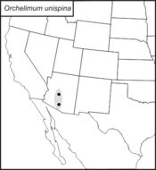 <span class="translation_missing" title="translation missing: en.medium.untitled.map_image_of, page_name: Arizona Meadow Katydid">Map Image Of</span>