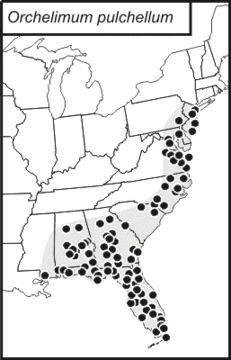 <span class="translation_missing" title="translation missing: pt-BR.medium.untitled.map_image_of, page_name: Orchelimum (Orchelimum) pulchellum Davis &amp; W. T. 1909">Map Image Of</span>