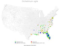 <span class="translation_missing" title="translation missing: pms.medium.untitled.map_image_of, page_name: Orchelimum (Orchelimum) agile (De Geer 1773)">Map Image Of</span>