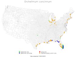 <span class="translation_missing" title="translation missing: pt-BR.medium.untitled.map_image_of, page_name: Orchelimum (Orchelimum) concinnum Scudder &amp; S. H. 1862">Map Image Of</span>