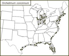 <span class="translation_missing" title="translation missing: pms.medium.untitled.map_image_of, page_name: Orchelimum (Orchelimum) concinnum Scudder &amp; S. H. 1862">Map Image Of</span>