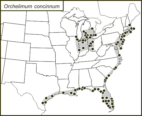 <span class="translation_missing" title="translation missing: pt-BR.medium.untitled.map_image_of, page_name: Orchelimum (Orchelimum) concinnum Scudder &amp; S. H. 1862">Map Image Of</span>