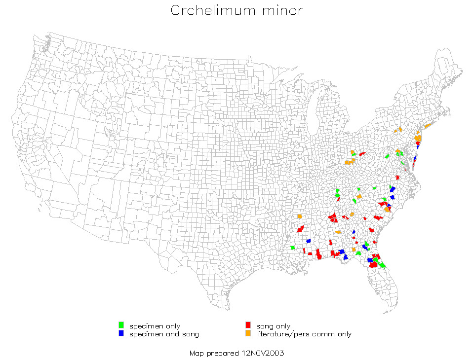 <span class="translation_missing" title="translation missing: zh-TW.medium.untitled.map_image_of, page_name: Orchelimum (Orchelimum) minor Bruner &amp; L. 1891">Map Image Of</span>