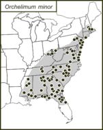 <span class="translation_missing" title="translation missing: zh-TW.medium.untitled.map_image_of, page_name: Orchelimum (Orchelimum) minor Bruner &amp; L. 1891">Map Image Of</span>