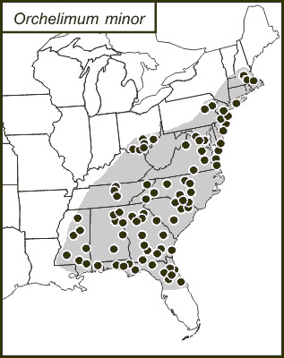 <span class="translation_missing" title="translation missing: en.medium.untitled.map_image_of, page_name: Lesser Pine Katydid">Map Image Of</span>