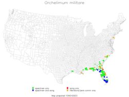 <span class="translation_missing" title="translation missing: pms.medium.untitled.map_image_of, page_name: Orchelimum (Orchelimum) militare Rehn, J. A. G. &amp; Hebard 1907">Map Image Of</span>