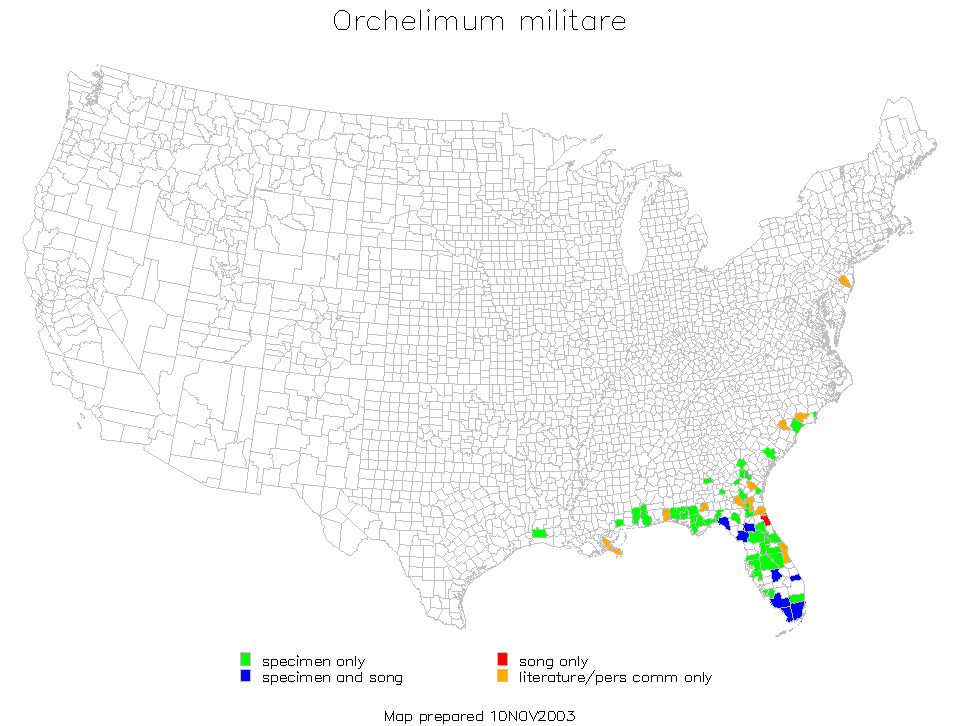 <span class="translation_missing" title="translation missing: zh-TW.medium.untitled.map_image_of, page_name: Orchelimum (Orchelimum) militare Rehn, J. A. G. &amp; Hebard 1907">Map Image Of</span>