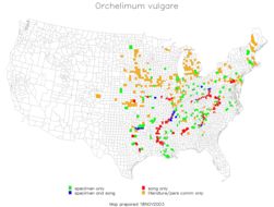 <span class="translation_missing" title="translation missing: pms.medium.untitled.map_image_of, page_name: Orchelimum (Orchelimum) vulgare Harris &amp; T. W. 1841">Map Image Of</span>