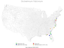 <span class="translation_missing" title="translation missing: pms.medium.untitled.map_image_of, page_name: Orchelimum (Orchelimum) fidicinium Rehn, J. A. G. &amp; Hebard 1907">Map Image Of</span>