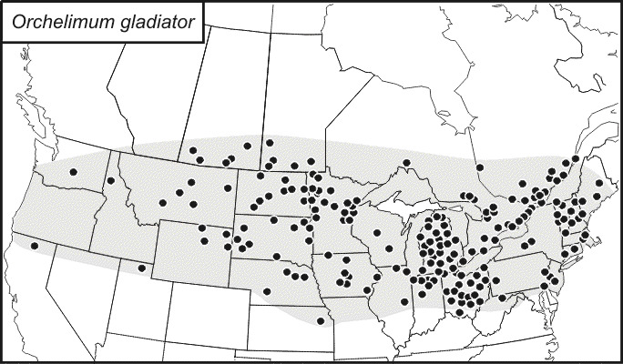 <span class="translation_missing" title="translation missing: en.medium.untitled.map_image_of, page_name: Gladiator Meadow Katydid">Map Image Of</span>