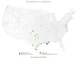 <span class="translation_missing" title="translation missing: fr.medium.untitled.map_image_of, page_name: Orchelimum (Orchelimum) bullatum Rehn, J. A. G. &amp; Hebard 1915">Map Image Of</span>