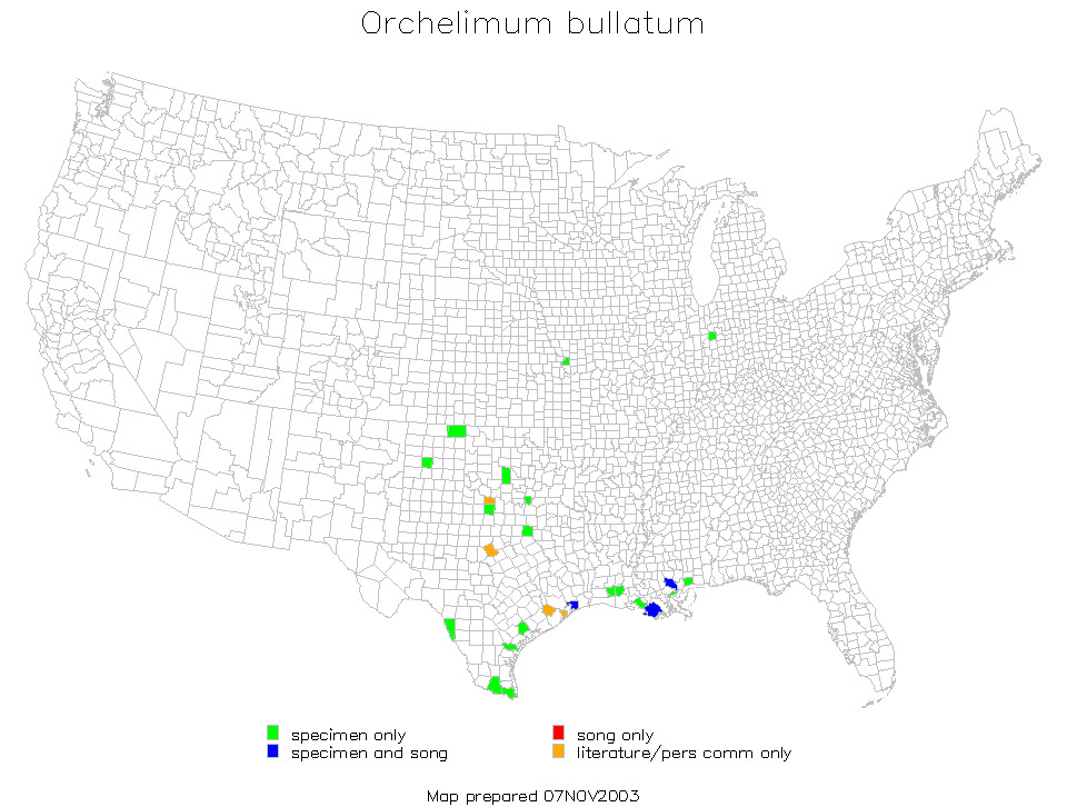 <span class="translation_missing" title="translation missing: fr.medium.untitled.map_image_of, page_name: Orchelimum (Orchelimum) bullatum Rehn, J. A. G. &amp; Hebard 1915">Map Image Of</span>