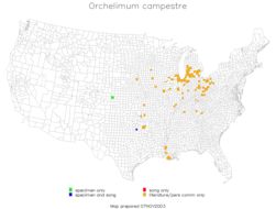 <span class="translation_missing" title="translation missing: zh-TW.medium.untitled.map_image_of, page_name: Orchelimum (Orchelimum) campestre Blatchley 1893">Map Image Of</span>