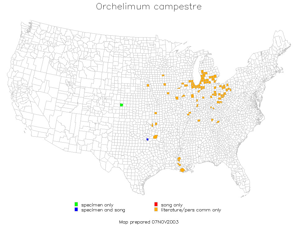 <span class="translation_missing" title="translation missing: zh-TW.medium.untitled.map_image_of, page_name: Orchelimum (Orchelimum) campestre Blatchley 1893">Map Image Of</span>