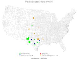 <span class="translation_missing" title="translation missing: en.medium.untitled.map_image_of, page_name: Haldeman&#39;s Shieldback">Map Image Of</span>