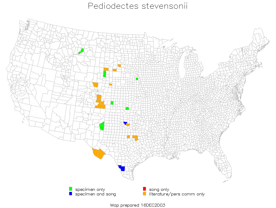 <span class="translation_missing" title="translation missing: en.medium.untitled.map_image_of, page_name: &lt;i&gt;Pediodectes stevensoni&lt;/i&gt;">Map Image Of</span>