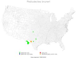 <span class="translation_missing" title="translation missing: en.medium.untitled.map_image_of, page_name: Pediodectes bruneri (Caudell 1907)">Map Image Of</span>