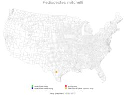 <span class="translation_missing" title="translation missing: en.medium.untitled.map_image_of, page_name: Pediodectes mitchelli (Caudell 1911)">Map Image Of</span>