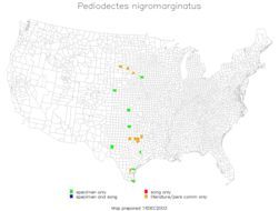 <span class="translation_missing" title="translation missing: en.medium.untitled.map_image_of, page_name: Pediodectes nigromarginatus (Caudell 1902)">Map Image Of</span>