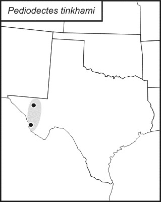 <span class="translation_missing" title="translation missing: en.medium.untitled.map_image_of, page_name: Pediodectes tinkhami Hebard 1934">Map Image Of</span>