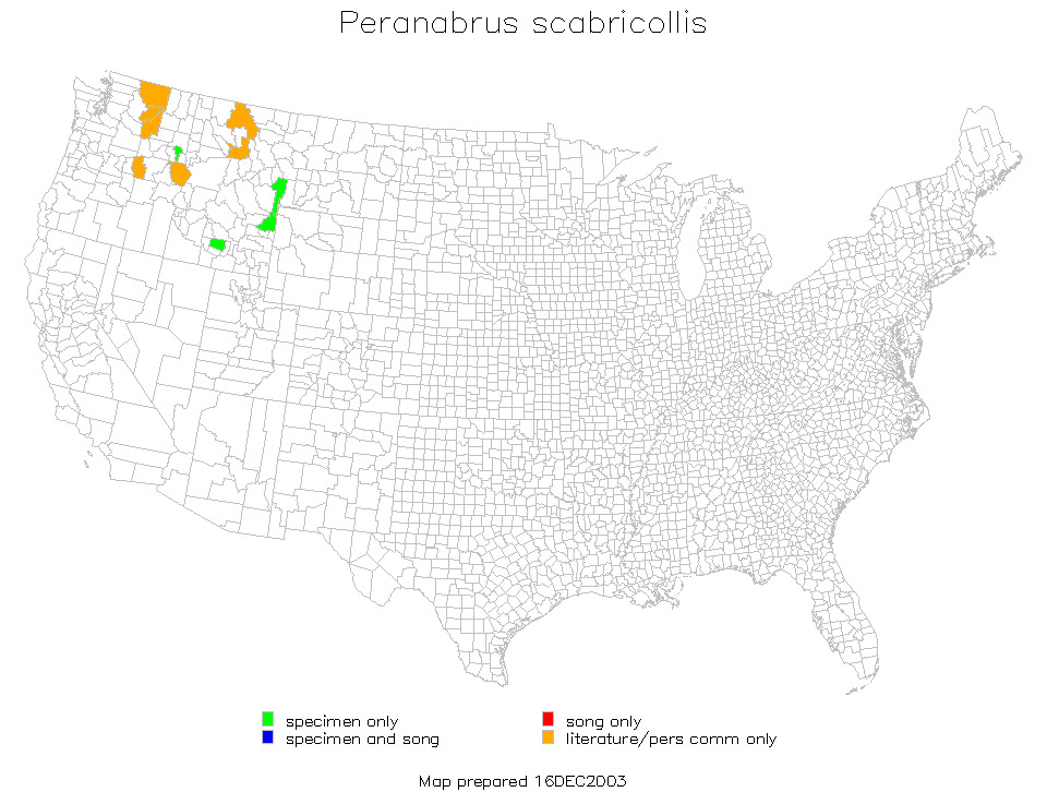 <span class="translation_missing" title="translation missing: tr.medium.untitled.map_image_of, page_name: Peranabrus scabricollis (Thomas &amp; C. 1872)">Map Image Of</span>