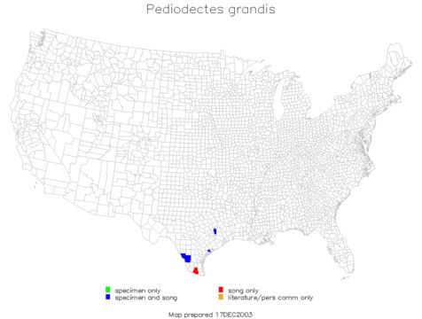 <span class="translation_missing" title="translation missing: en.medium.untitled.map_image_of, page_name: Grand Shieldback">Map Image Of</span>