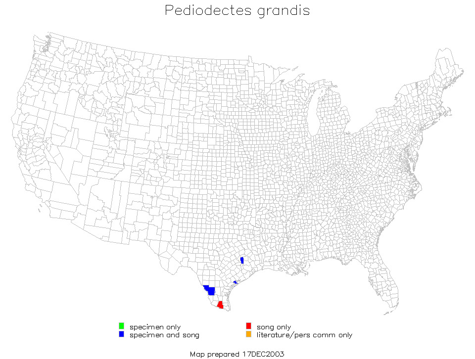 <span class="translation_missing" title="translation missing: en.medium.untitled.map_image_of, page_name: Grand Shieldback">Map Image Of</span>