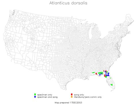 <span class="translation_missing" title="translation missing: pms.medium.untitled.map_image_of, page_name: Atlanticus (Atlanticus) dorsalis (Burmeister &amp; H. 1838)">Map Image Of</span>