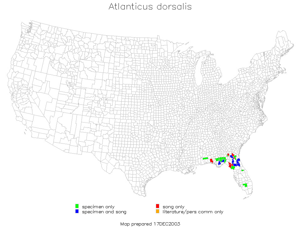 <span class="translation_missing" title="translation missing: en.medium.untitled.map_image_of, page_name: Gray Shieldback">Map Image Of</span>