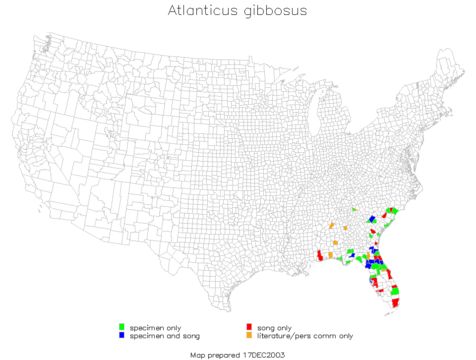 <span class="translation_missing" title="translation missing: pms.medium.untitled.map_image_of, page_name: Atlanticus (Atlanticus) gibbosus Scudder &amp; S. H. 1894">Map Image Of</span>