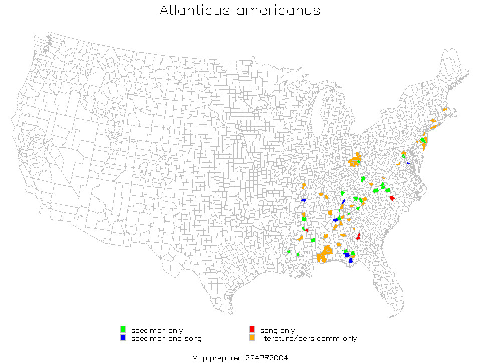 <span class="translation_missing" title="translation missing: en.medium.untitled.map_image_of, page_name: American Shieldback">Map Image Of</span>