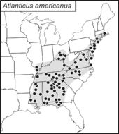 <span class="translation_missing" title="translation missing: en.medium.untitled.map_image_of, page_name: American Shieldback">Map Image Of</span>