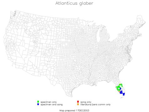 <span class="translation_missing" title="translation missing: pms.medium.untitled.map_image_of, page_name: Atlanticus (Atlanticus) glaber Rehn, J. A. G. &amp; Hebard 1912">Map Image Of</span>