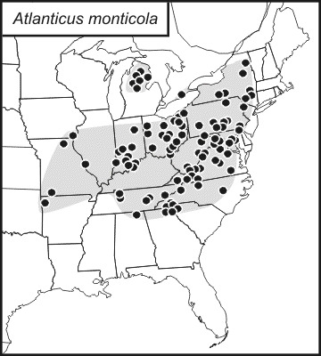 <span class="translation_missing" title="translation missing: en.medium.untitled.map_image_of, page_name: Least Shieldback">Map Image Of</span>