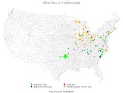 <span class="translation_missing" title="translation missing: pms.medium.untitled.map_image_of, page_name: Atlanticus (Atlanticus) testaceus (Scudder &amp; S. H. 1901)">Map Image Of</span>