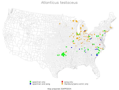 <span class="translation_missing" title="translation missing: pms.medium.untitled.map_image_of, page_name: Atlanticus (Atlanticus) testaceus (Scudder &amp; S. H. 1901)">Map Image Of</span>