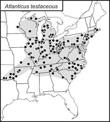 <span class="translation_missing" title="translation missing: en.medium.untitled.map_image_of, page_name: Protean Shieldback">Map Image Of</span>