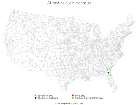 <span class="translation_missing" title="translation missing: pms.medium.untitled.map_image_of, page_name: Atlanticus (Atlanticus) calcaratus Rehn, J. A. G. &amp; Hebard 1916">Map Image Of</span>