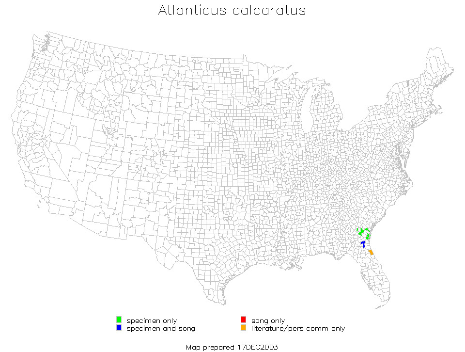 <span class="translation_missing" title="translation missing: en.medium.untitled.map_image_of, page_name: Long-spurred Shieldback">Map Image Of</span>