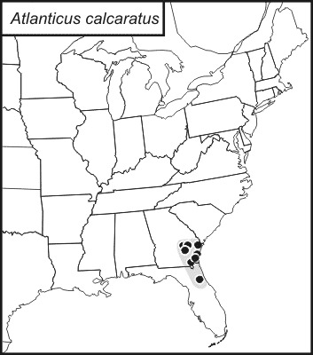 <span class="translation_missing" title="translation missing: en.medium.untitled.map_image_of, page_name: Long-spurred Shieldback">Map Image Of</span>