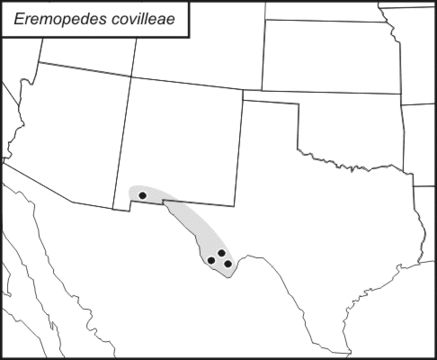 <span class="translation_missing" title="translation missing: pt-BR.medium.untitled.map_image_of, page_name: Eremopedes (Eremopedes) covilleae Hebard 1934">Map Image Of</span>