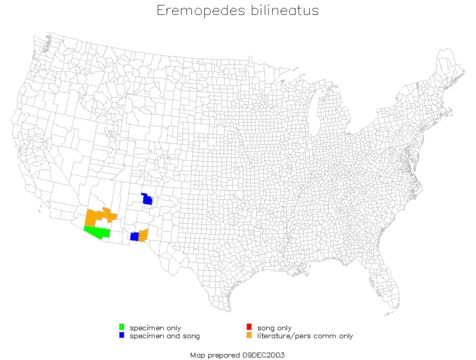 <span class="translation_missing" title="translation missing: pt-BR.medium.untitled.map_image_of, page_name: Eremopedes (Eremopedes) bilineatus (Thomas &amp; C. 1875)">Map Image Of</span>