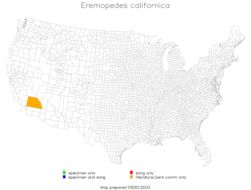 <span class="translation_missing" title="translation missing: pt-BR.medium.untitled.map_image_of, page_name: Eremopedes (Oreopedes) californica Rentz &amp; D. C. F. 1972">Map Image Of</span>