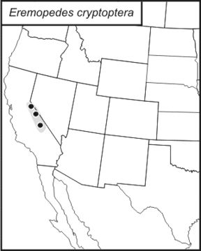 <span class="translation_missing" title="translation missing: pt-BR.medium.untitled.map_image_of, page_name: Eremopedes (Oreopedes) cryptoptera (Rehn, J. A. G. &amp; Hebard 1920)">Map Image Of</span>