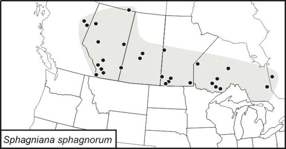 <span class="translation_missing" title="translation missing: en.medium.untitled.map_image_of, page_name: Sphagniana">Map Image Of</span>