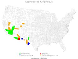 <span class="translation_missing" title="translation missing: en.medium.untitled.map_image_of, page_name: Sooty Longwing">Map Image Of</span>