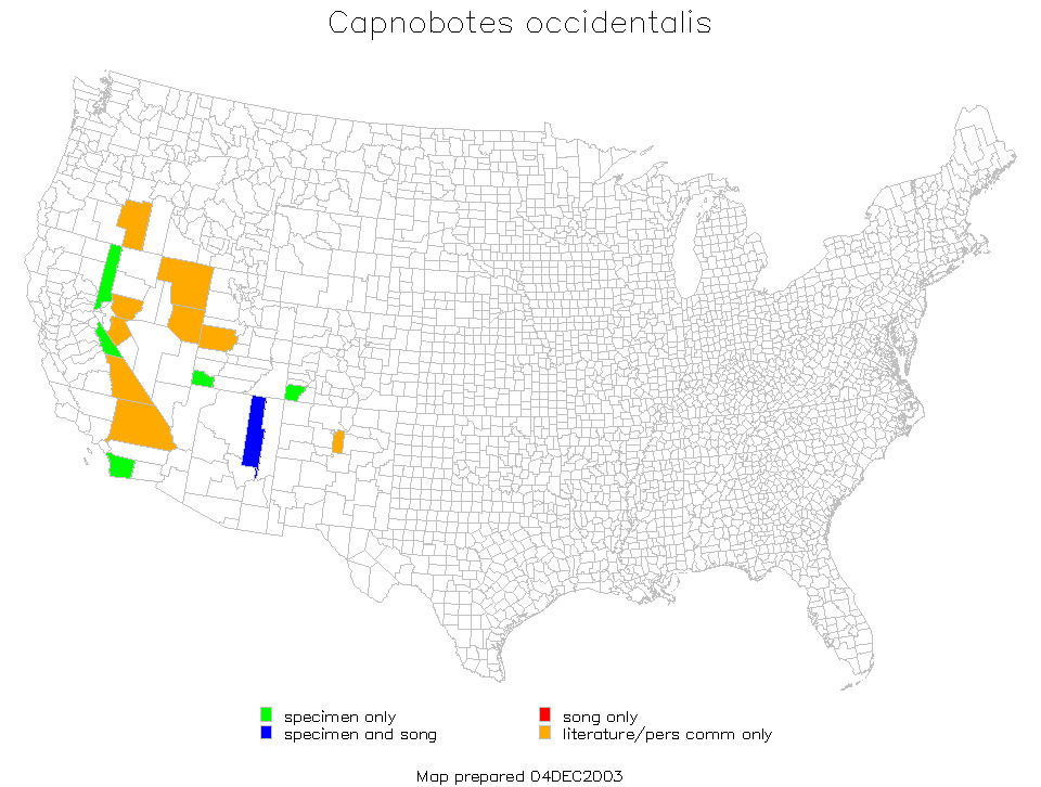 <span class="translation_missing" title="translation missing: fi.medium.untitled.map_image_of, page_name: Capnobotes occidentalis (Thomas &amp; C. 1872)">Map Image Of</span>