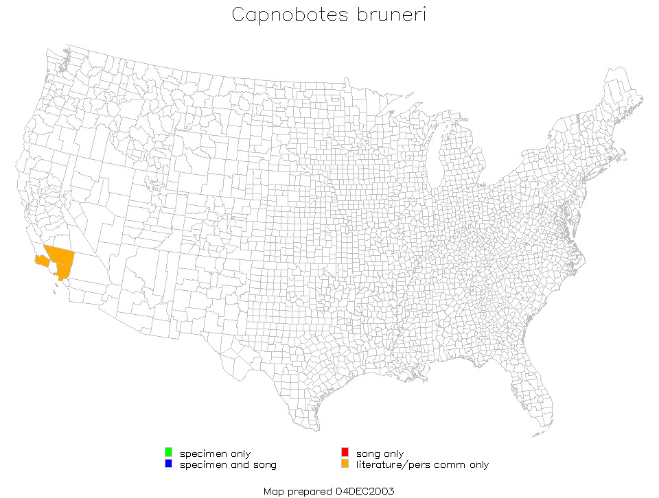 <span class="translation_missing" title="translation missing: en.medium.untitled.map_image_of, page_name: Capnobotes bruneri Scudder &amp; S. H. 1897">Map Image Of</span>