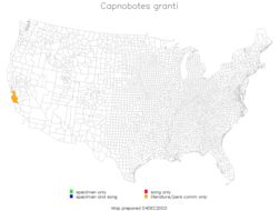 <span class="translation_missing" title="translation missing: ar.medium.untitled.map_image_of, page_name: Capnobotes granti Rentz, D. C. F. &amp; Birchim 1968">Map Image Of</span>