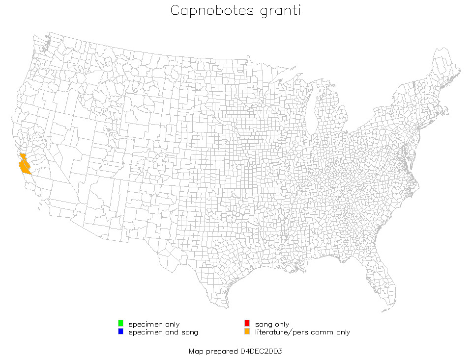 <span class="translation_missing" title="translation missing: ar.medium.untitled.map_image_of, page_name: Capnobotes granti Rentz, D. C. F. &amp; Birchim 1968">Map Image Of</span>